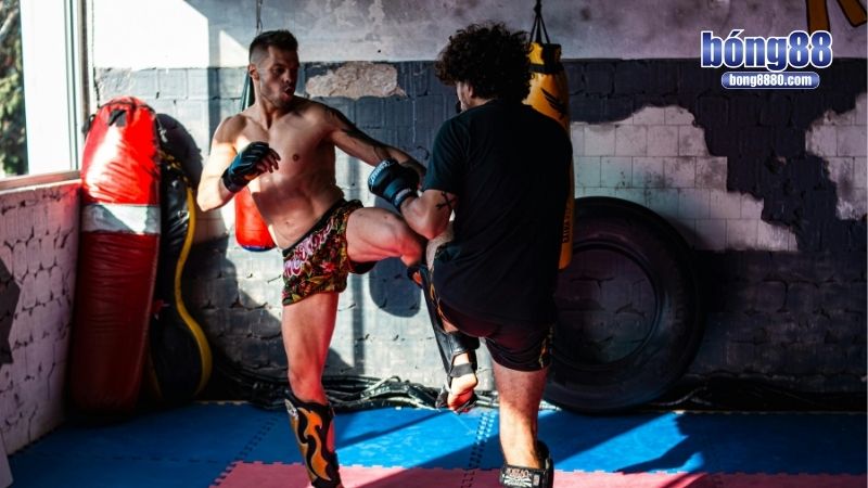 Cá độ MMA - Chiến lược đặt cược thông minh, hiệu quả Chiến thuật cá độ MMA đa dạng, tối ưu cơ hội