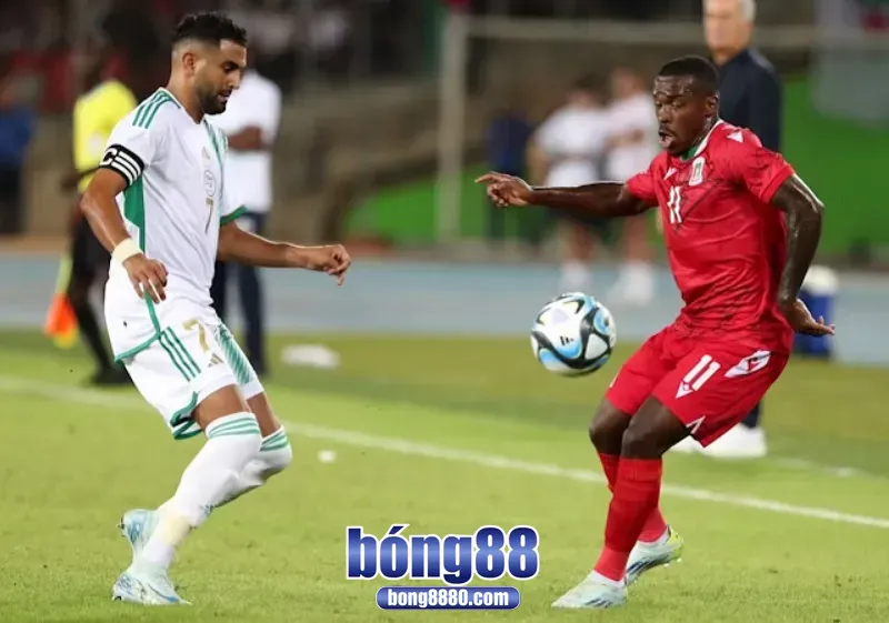 Dự đoán kết quả Guinea 1-2 Algeria