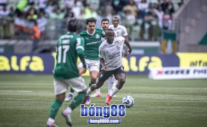 Dự đoán kết quả trận đấu Palmeiras 4-2 Deportes