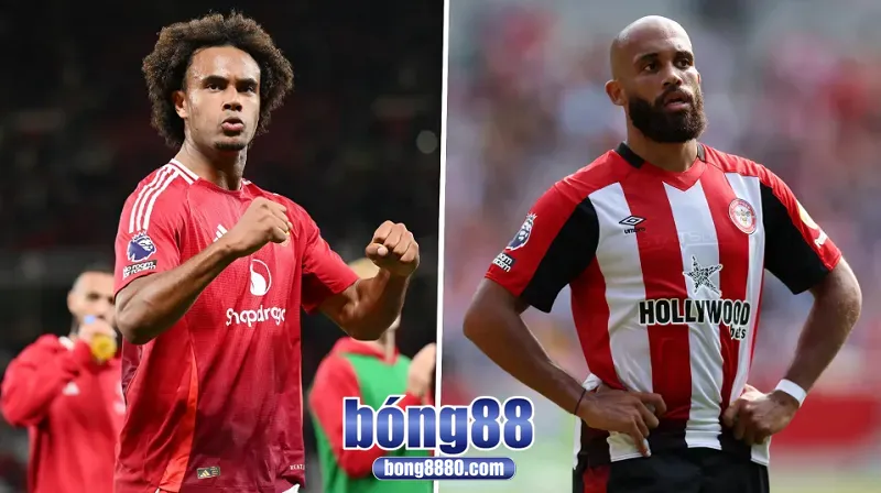Dự đoán kết quả trận đấu Brentford 1-1 Manchester Utd
