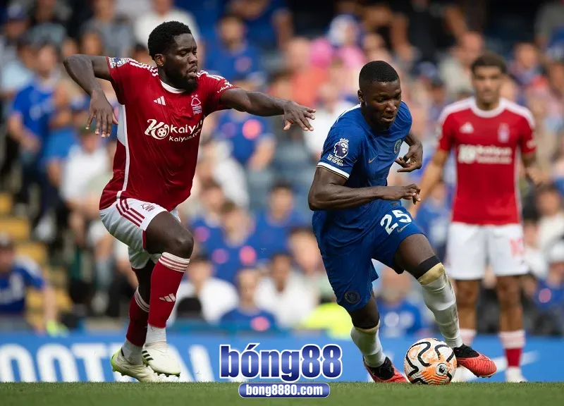 Đội tuyển Chelsea được đánh giá cao hơn Nottingham về phong độ