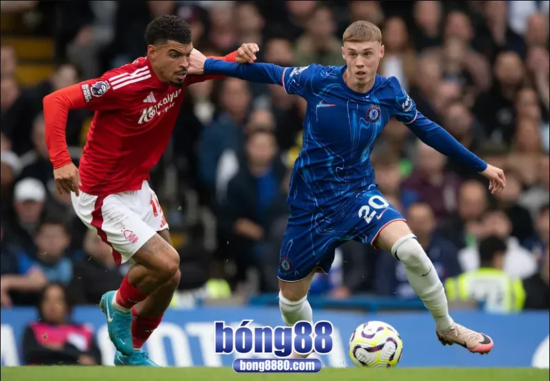 Dự đoán kết quả trận đấu Nottingham Forest 1 - 2 Chelsea